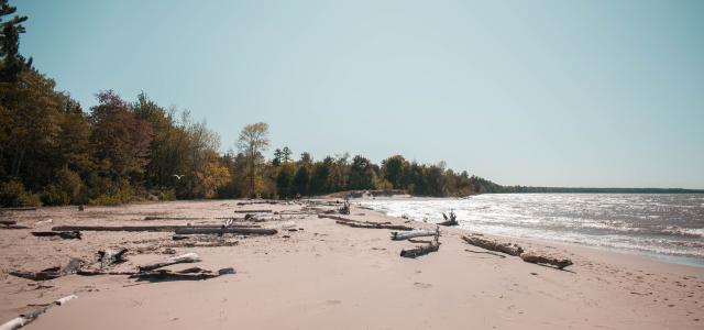 Lake Misery beach